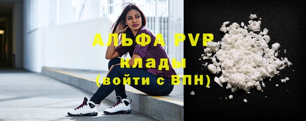 индика Балабаново