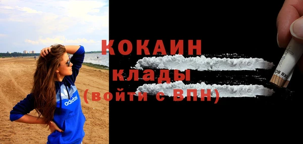 индика Балабаново