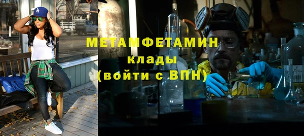индика Балабаново