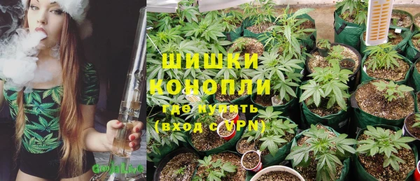 индика Балабаново