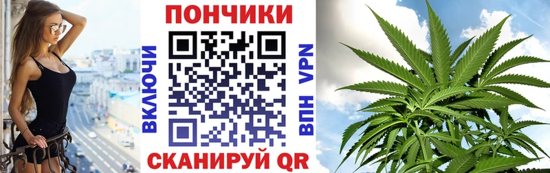 где продают наркотики  Верея  Бошки марихуана ГИДРОПОН 